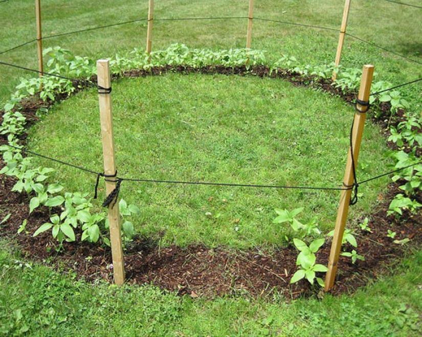 25 simple ways to make a dacha the perfect place to stay