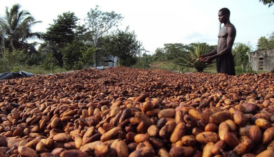 25 "sweet" facts about chocolate