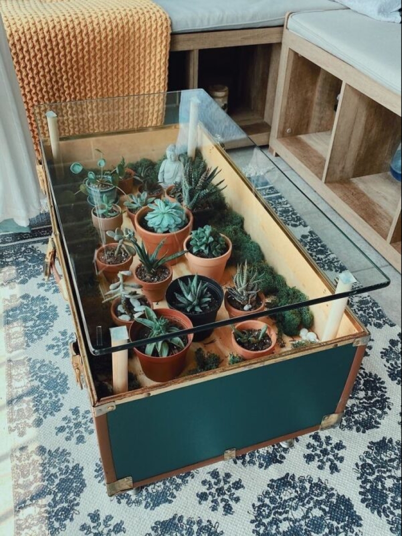 25 tables with" gardens " of succulents 25 tables with" gardens " of succulents