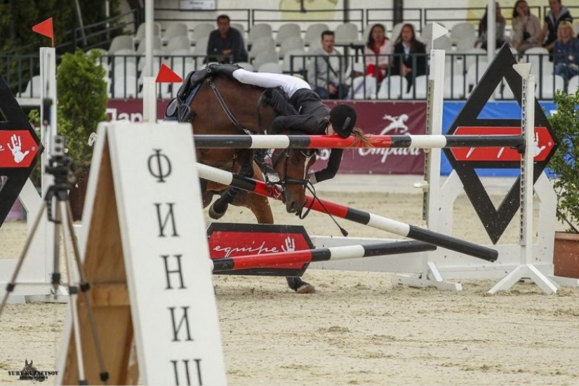 25 unexpected photos that were taken at just the right moment 25 unexpected photos that were taken at just the right moment