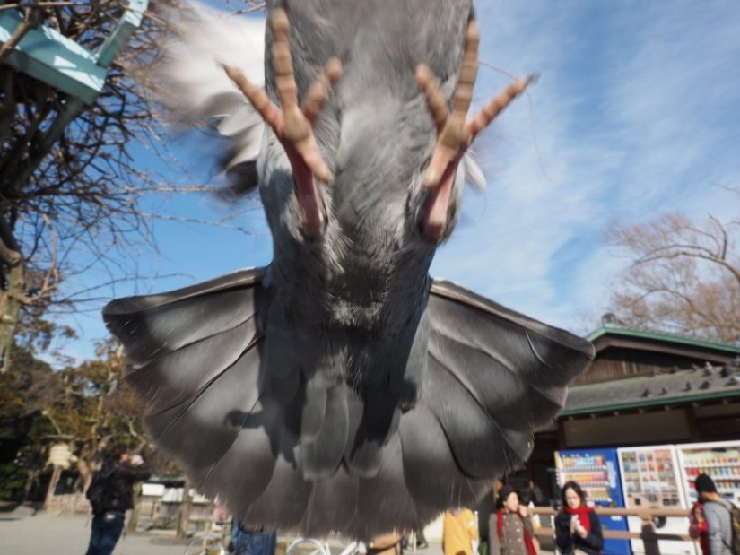 25 unexpected photos that were taken at just the right moment 25 unexpected photos that were taken at just the right moment