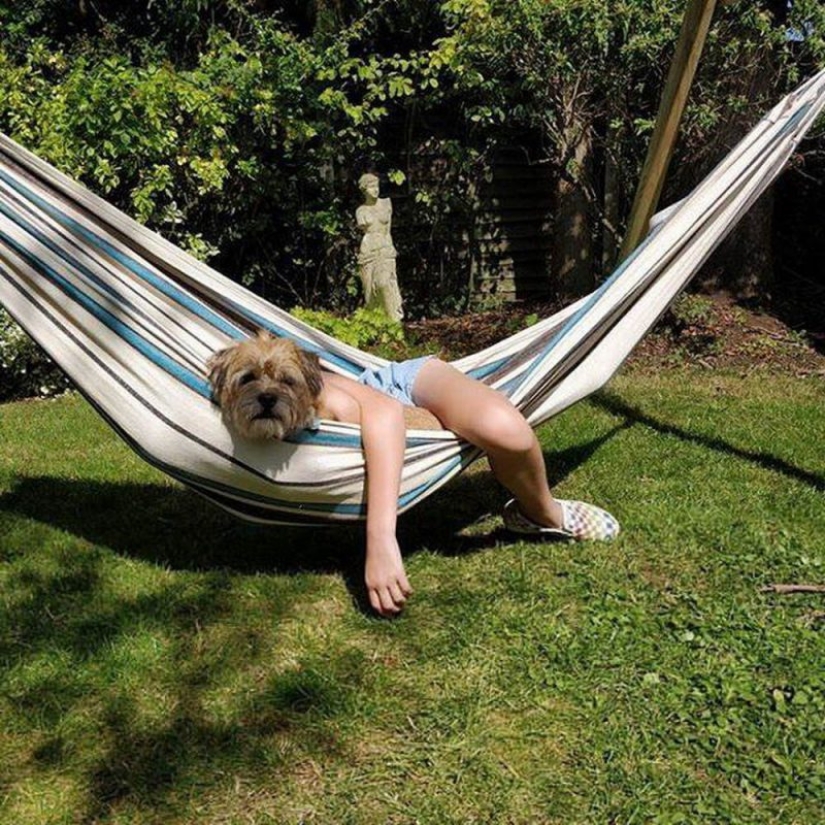 25 unexpected photos that were taken at just the right moment 25 unexpected photos that were taken at just the right moment