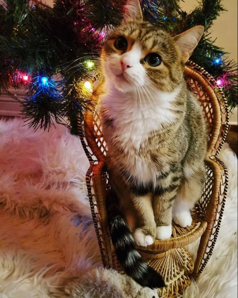 25 unusual things bought at flea markets and thrift stores