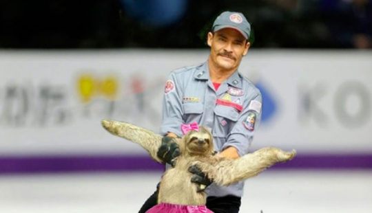 25 works of the winners of photoshop battles