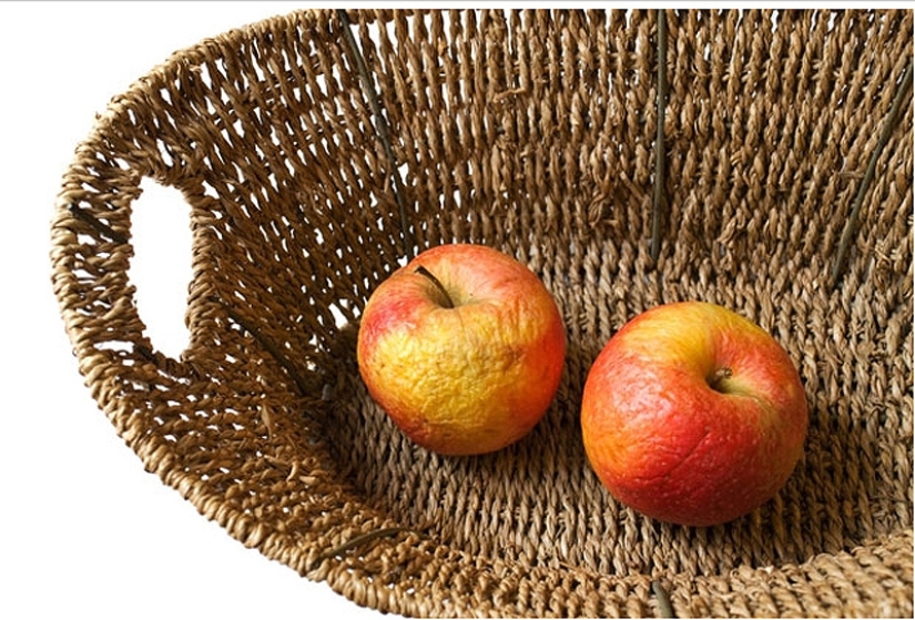 26 consejos sobre la mejor manera de almacenar alimentos