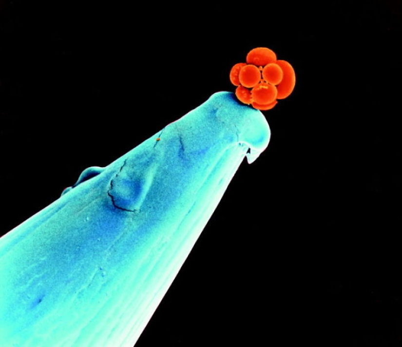 26 rare photos show familiar things from an unknown angle for us 26 rare photos show familiar things from an unknown angle for us