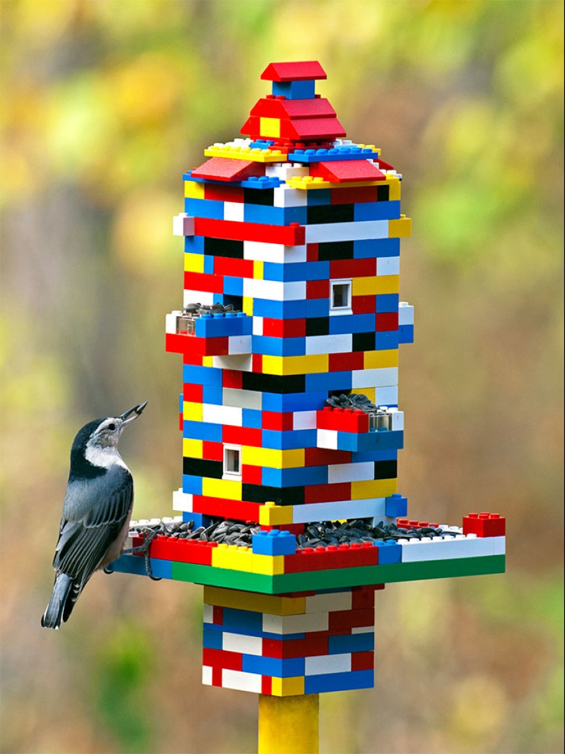27 Ingeniosas Maneras de Usar Lego que probablemente no sabías 27 Ingeniosas Maneras de Usar Lego que probablemente no sabías