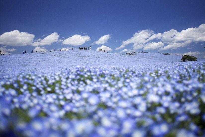 27 lugares increíbles que debes ver de primera mano 27 lugares increíbles que debes ver de primera mano