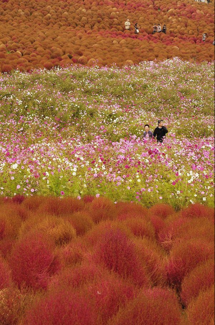 27 lugares increíbles que debes ver de primera mano 27 lugares increíbles que debes ver de primera mano