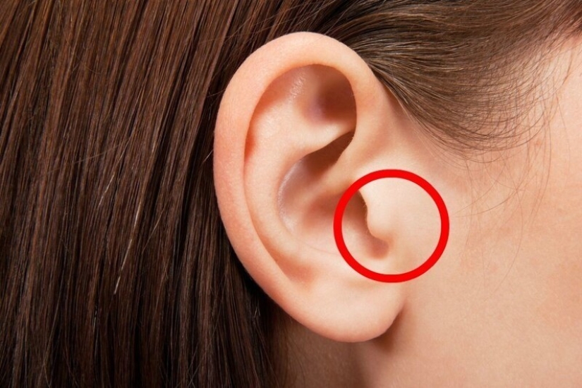 27 useful tricks with our body that you may not have known about 27 useful tricks with our body that you may not have known about