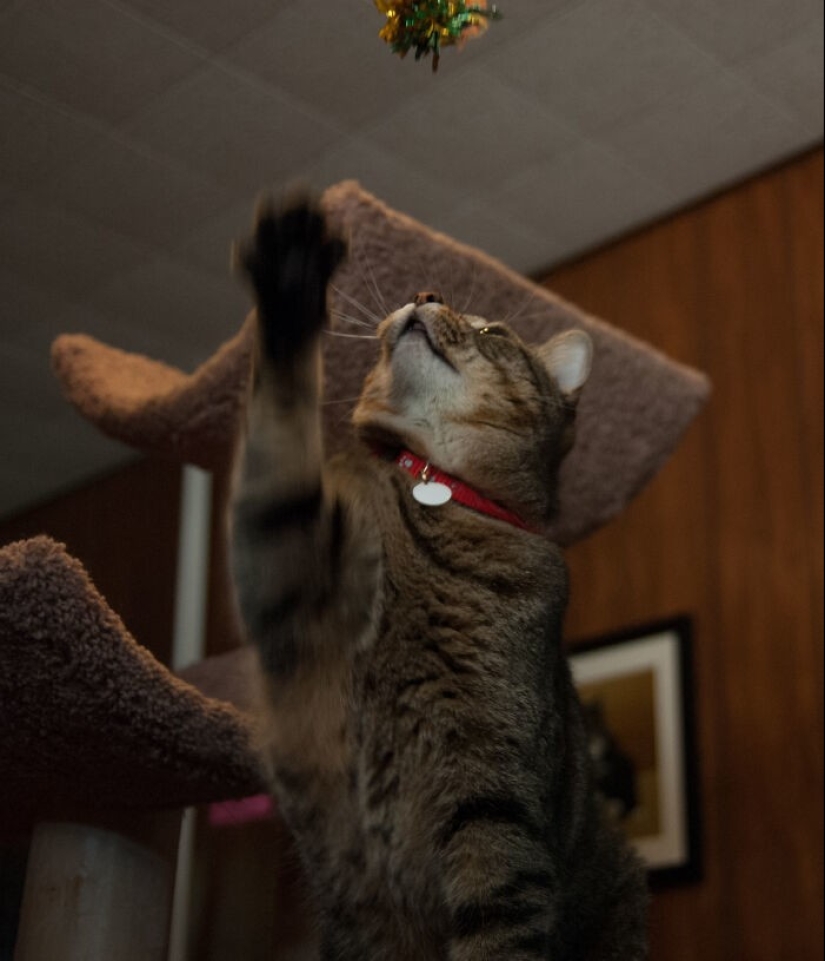 28 profesiones que no son tan cool como todo el mundo piensa 28 profesiones que no son tan cool como todo el mundo piensa