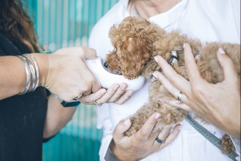 28 profesiones que no son tan cool como todo el mundo piensa 28 profesiones que no son tan cool como todo el mundo piensa