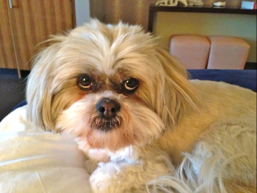 28 profesiones que no son tan cool como todo el mundo piensa 28 profesiones que no son tan cool como todo el mundo piensa