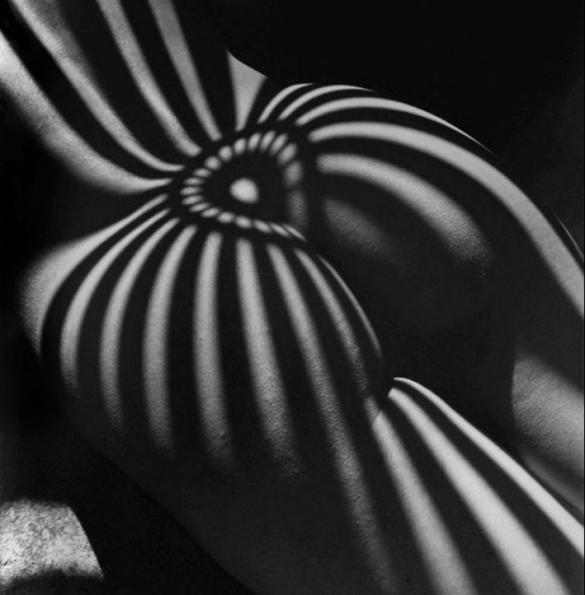 29 creative photographers who know how to play with shadows 29 creative photographers who know how to play with shadows