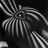 29 creative photographers who know how to play with shadows