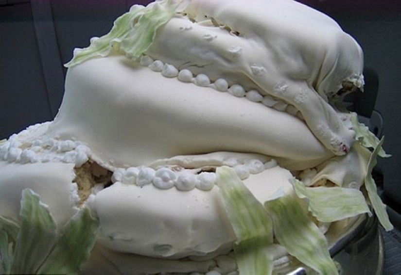 30 "aburrido" pasteles, aspecto en el que puedes llorar 30 "aburrido" pasteles, aspecto en el que puedes llorar