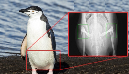 30 amazing facts that at first glance seem absurd