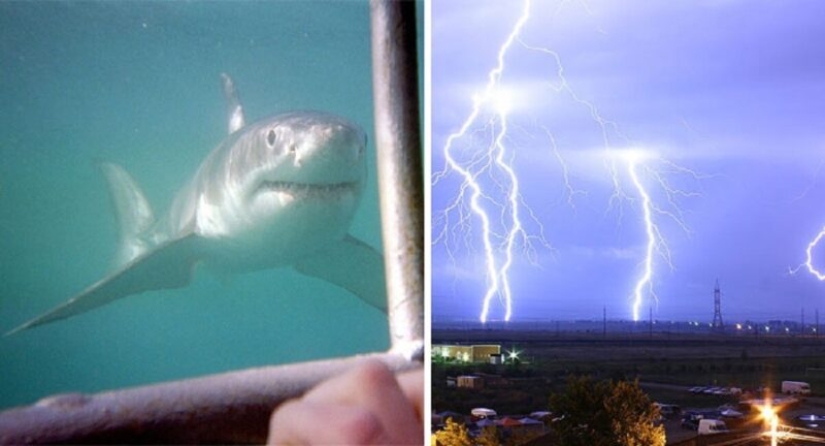 30 amazing facts that will blow your brain!