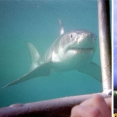 30 amazing facts that will blow your brain!