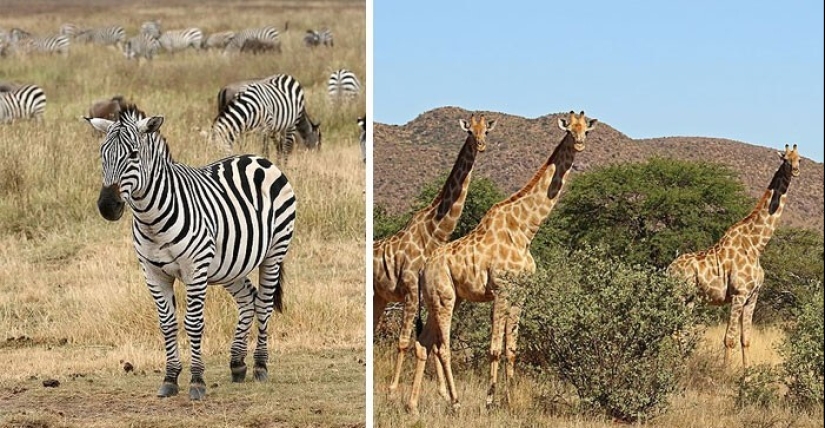 30 amazing facts that will blow your brain!