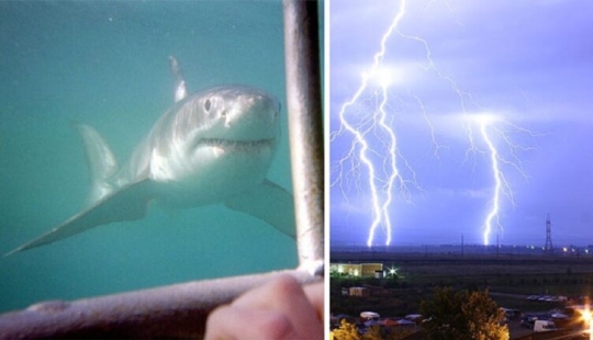 30 amazing facts that will blow your brain!