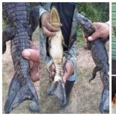 30 amazing finds created by nature and people