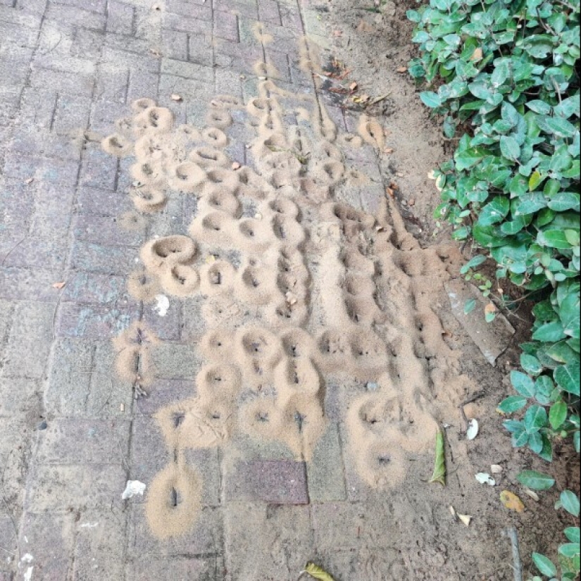 30 amazing finds created by nature and people 30 amazing finds created by nature and people