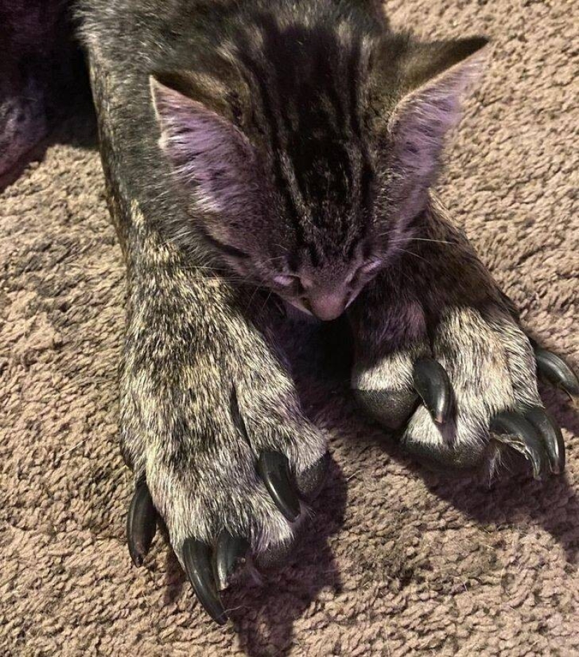 30 amazing finds created by nature and people 30 amazing finds created by nature and people