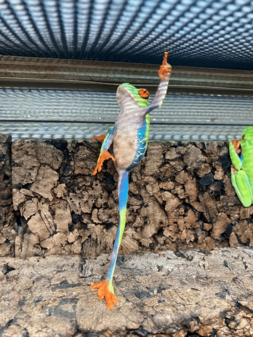 30 amazing finds created by nature and people 30 amazing finds created by nature and people