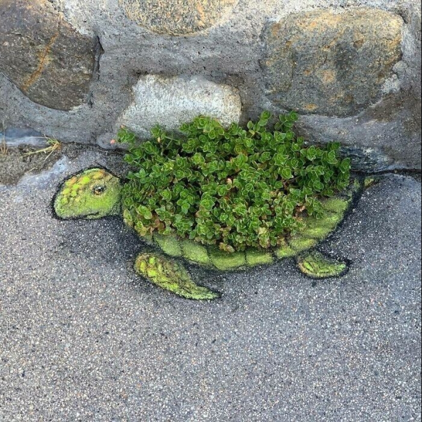 30 animales desconocidos en las calles de la ciudad de la artista David Sinn 30 animales desconocidos en las calles de la ciudad de la artista David Sinn