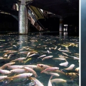 30 beautiful photos of abandoned places from all over the world