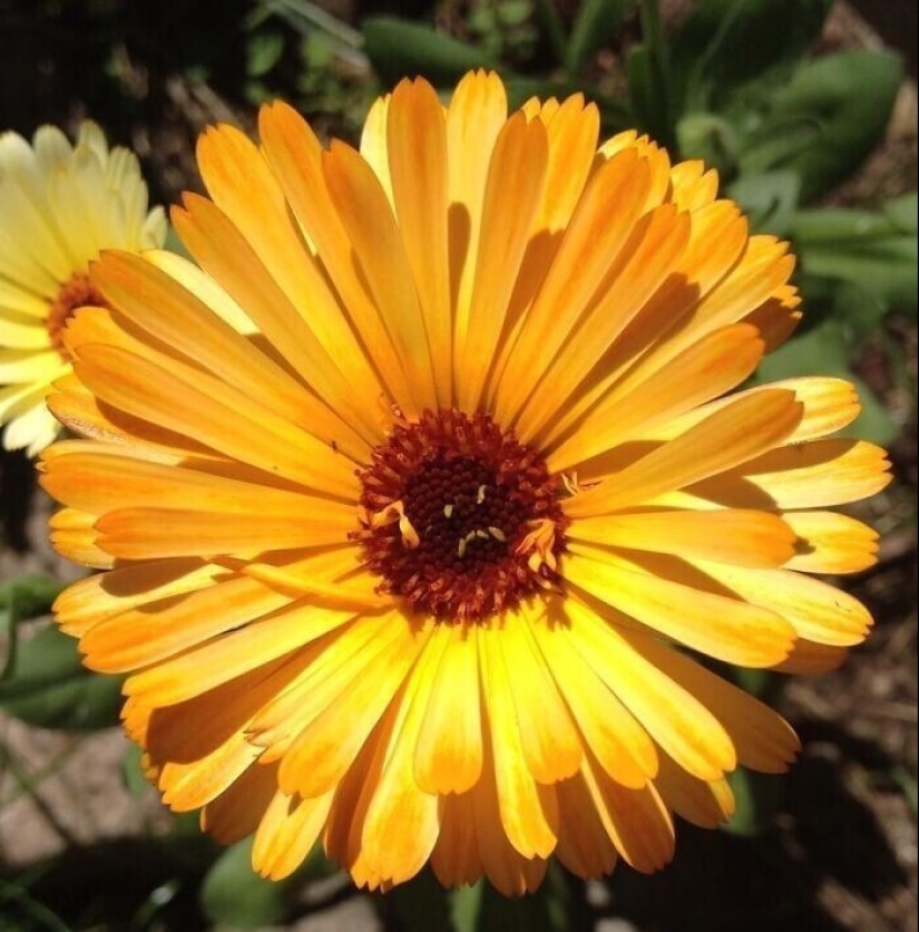 30 + casos cuando la gente miraba el mundo, y él los miraba en respuesta 30 + casos cuando la gente miraba el mundo, y él los miraba en respuesta