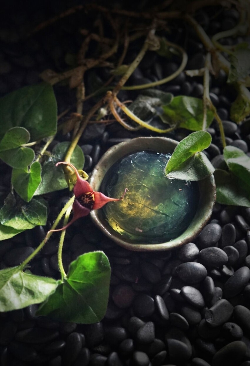 30 creaciones culinarias que engañarán a tus ojos