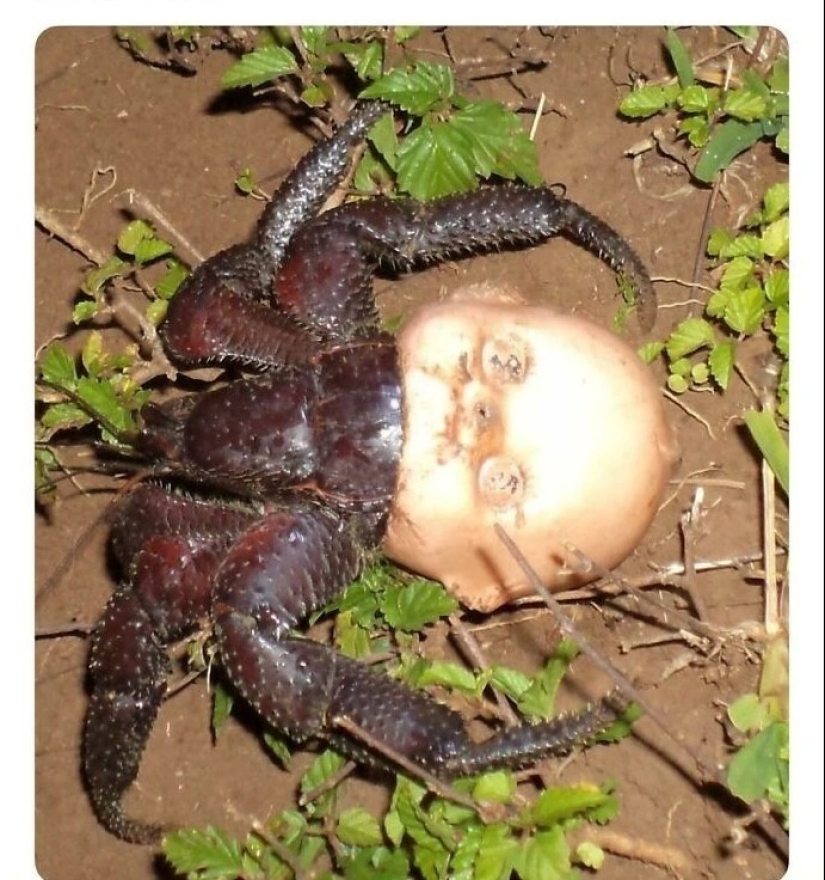 30 creepy photos that give you goosebumps