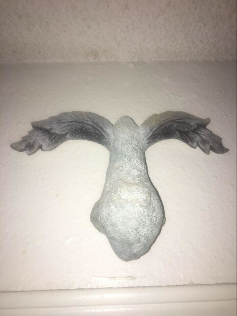 30 cute, quirky and unsettling finds from second-hand stores 30 cute, quirky and unsettling finds from second-hand stores