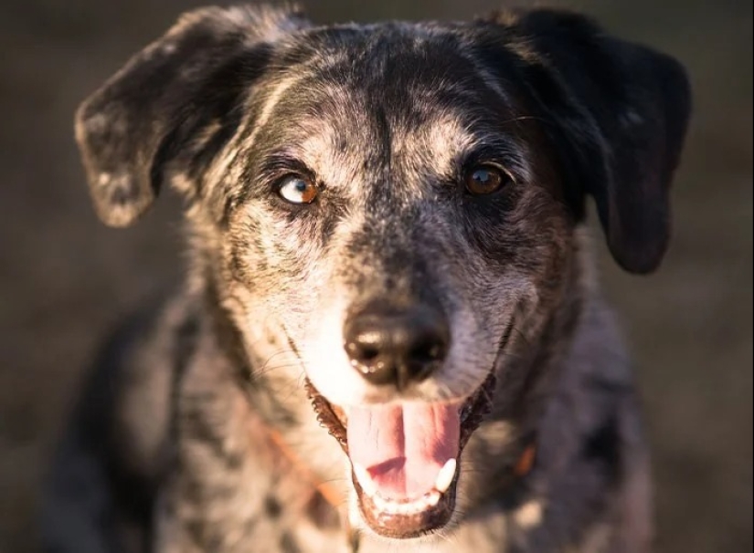 30 datos fascinantes de la serie &quot;Hoy aprendí&quot;