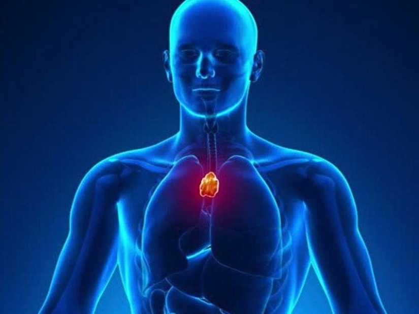 30 datos fascinantes de la serie &quot;Hoy aprendí&quot;