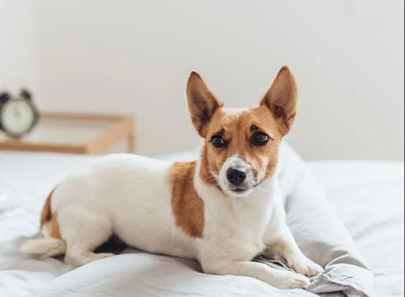 30 datos fascinantes de la serie &quot;Hoy aprendí&quot;