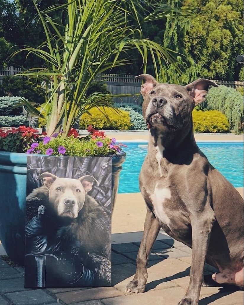 30 de Mascotas con sus retratos en el estilo de épocas pasadas