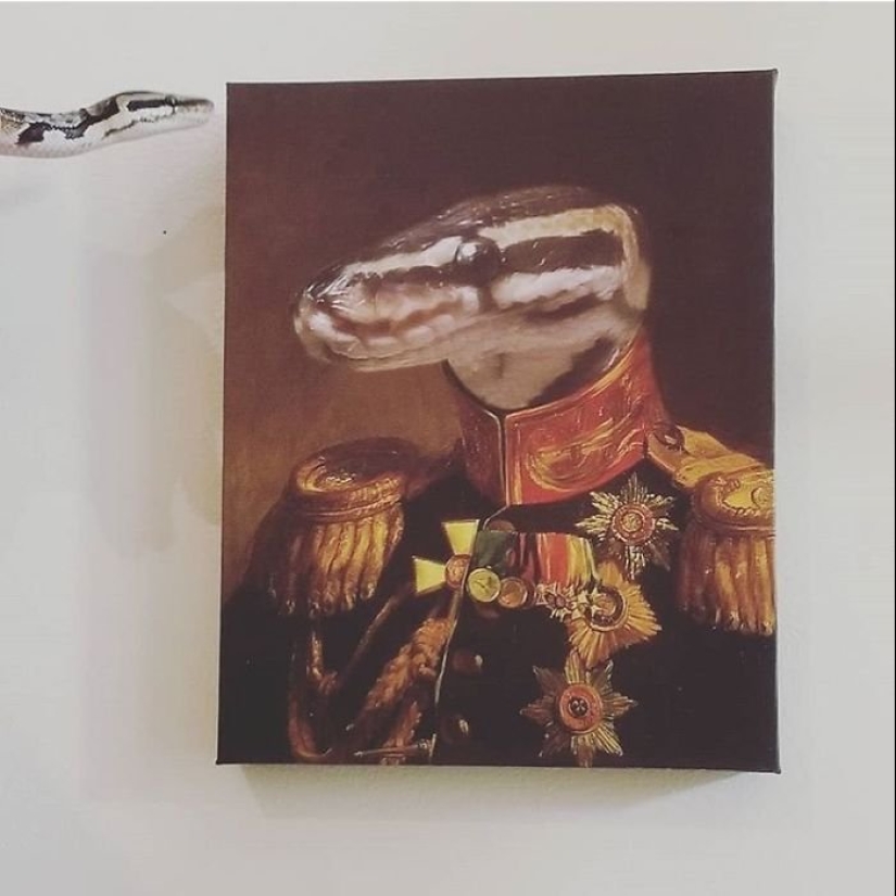 30 de Mascotas con sus retratos en el estilo de épocas pasadas