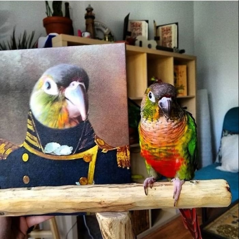 30 de Mascotas con sus retratos en el estilo de épocas pasadas