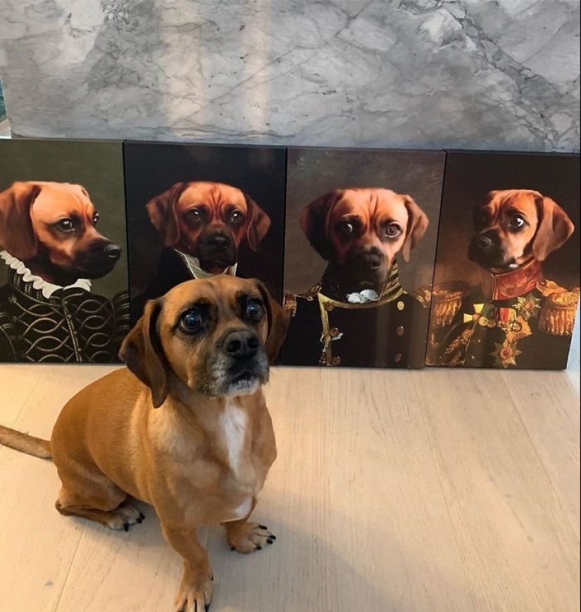 30 de Mascotas con sus retratos en el estilo de épocas pasadas