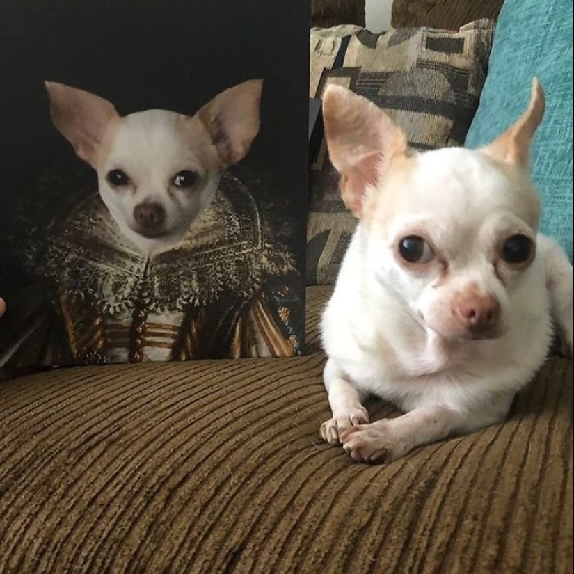 30 de Mascotas con sus retratos en el estilo de épocas pasadas