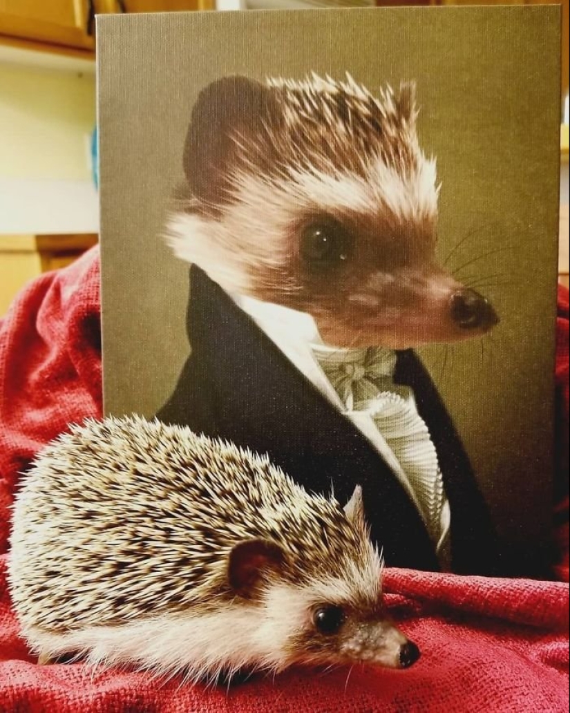 30 de Mascotas con sus retratos en el estilo de épocas pasadas