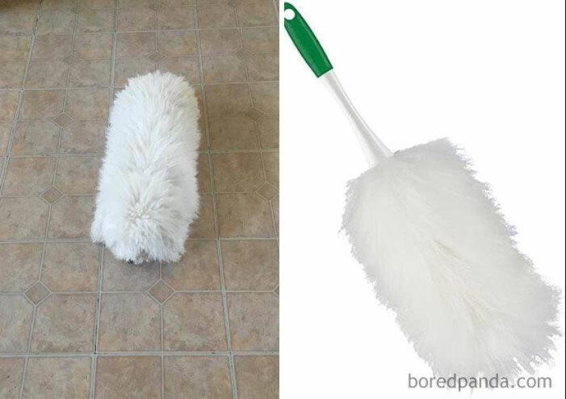 30 dogs that look like something else 30 dogs that look like something else