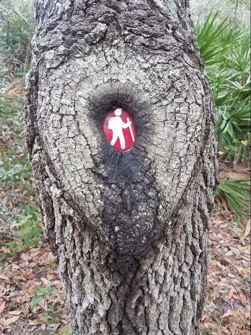 30 ejemplos de cómo la naturaleza de ganar la batalla contra la civilización 30 ejemplos de cómo la naturaleza de ganar la batalla contra la civilización