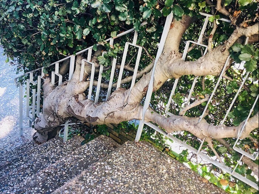 30 ejemplos de cómo la naturaleza de ganar la batalla contra la civilización 30 ejemplos de cómo la naturaleza de ganar la batalla contra la civilización