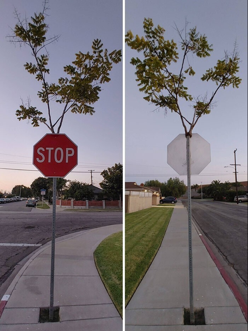 30 ejemplos de cómo la naturaleza de ganar la batalla contra la civilización 30 ejemplos de cómo la naturaleza de ganar la batalla contra la civilización