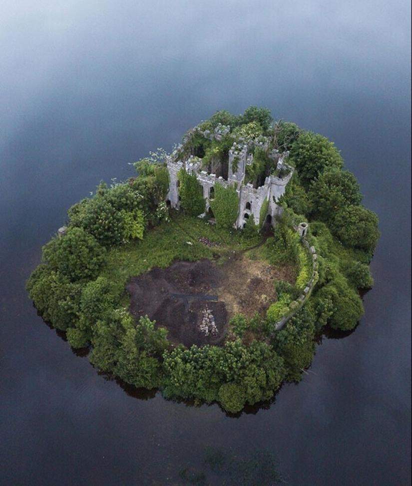 30 ejemplos de cómo la naturaleza de ganar la batalla contra la civilización 30 ejemplos de cómo la naturaleza de ganar la batalla contra la civilización