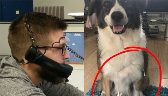 30 ejemplos vívidos cuando la pereza raya en el genio 30 ejemplos vívidos cuando la pereza raya en el genio